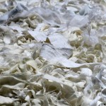 RAFFAELLO